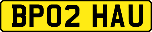 BP02HAU