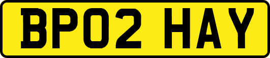 BP02HAY
