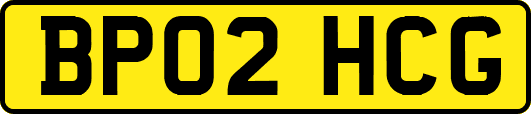 BP02HCG