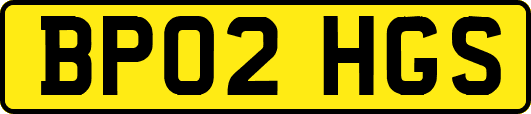 BP02HGS