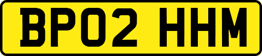 BP02HHM