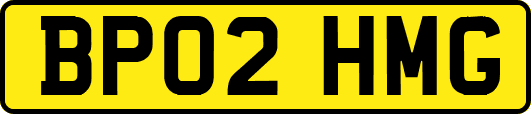 BP02HMG