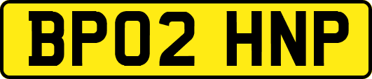 BP02HNP