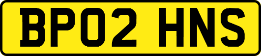 BP02HNS