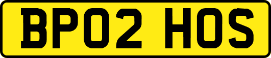 BP02HOS