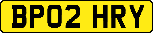 BP02HRY