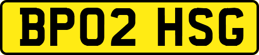 BP02HSG