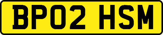BP02HSM