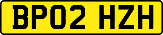 BP02HZH