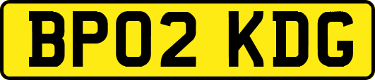 BP02KDG