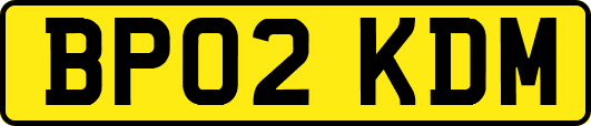 BP02KDM
