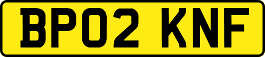BP02KNF