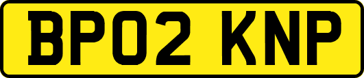 BP02KNP