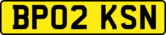 BP02KSN