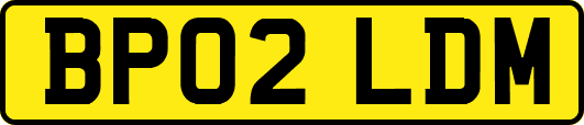 BP02LDM