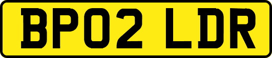 BP02LDR
