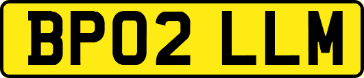 BP02LLM