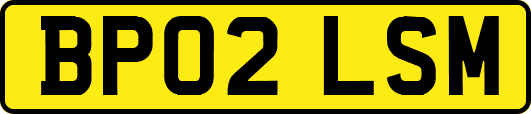 BP02LSM