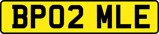 BP02MLE