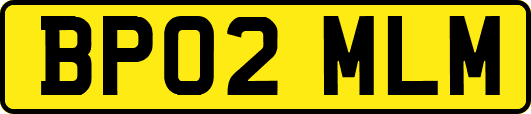 BP02MLM