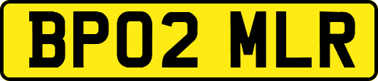 BP02MLR