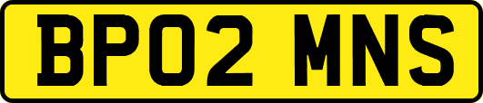 BP02MNS