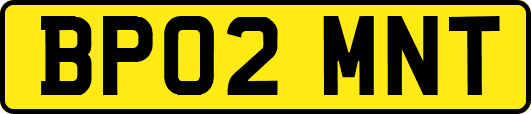 BP02MNT