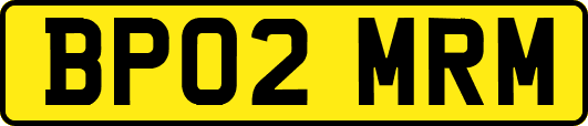 BP02MRM