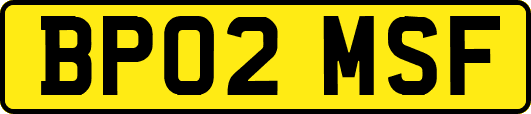 BP02MSF