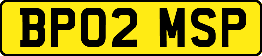 BP02MSP