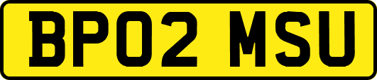 BP02MSU
