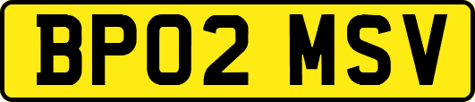 BP02MSV