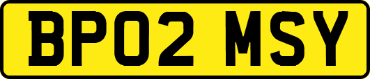 BP02MSY