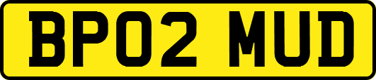 BP02MUD