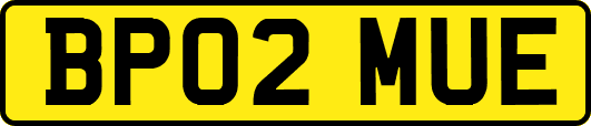 BP02MUE