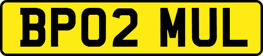 BP02MUL