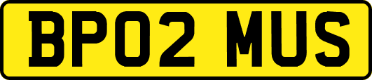 BP02MUS