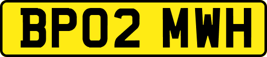 BP02MWH