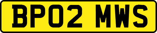 BP02MWS