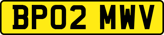 BP02MWV