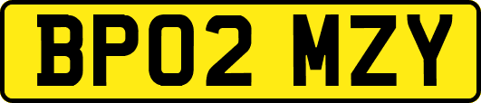 BP02MZY