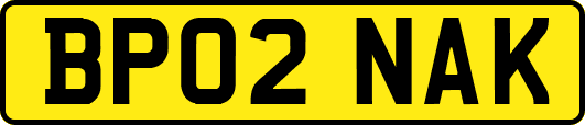 BP02NAK