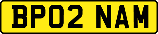 BP02NAM