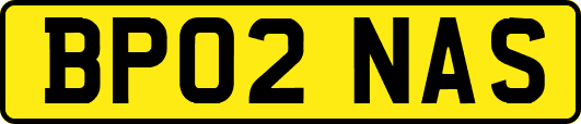 BP02NAS