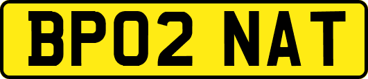 BP02NAT