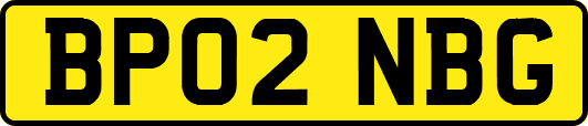 BP02NBG