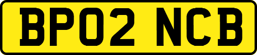 BP02NCB