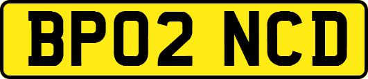 BP02NCD