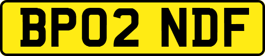 BP02NDF