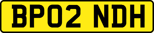 BP02NDH